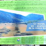 Der Sumpf ist die Lunge des Flusses Drôme, gespeist von Quellen und Rieselwasser