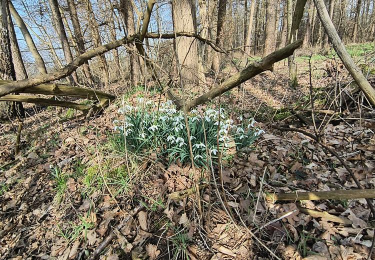 Saison-Eröffnung im Februar 2026