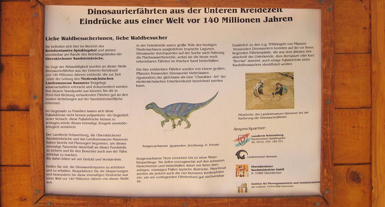 Bild 17: Höhepunkt der Wanderung ist der Steinbruch, in dem Dinosaurierspuren gefunden wurden
