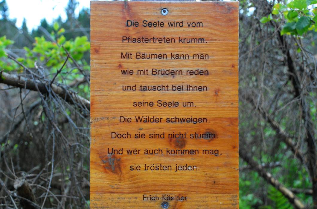 Bild 22: Erich Kästners Zeilen beschreiben die ewig wohltuende Stimmung, die der Wald verbreitet