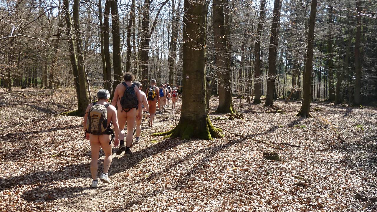 Bild 1: Nacktwandern im Arnsberger Wald