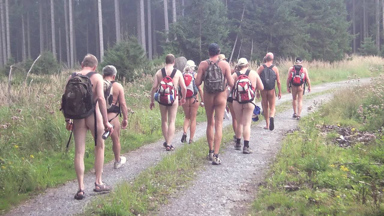 Bild 11: Die Wandergruppe am Waldrand unterwegs