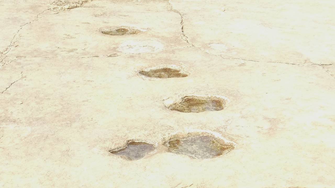 Die Abdrücke im Sandstein stehen voller Regenwasser