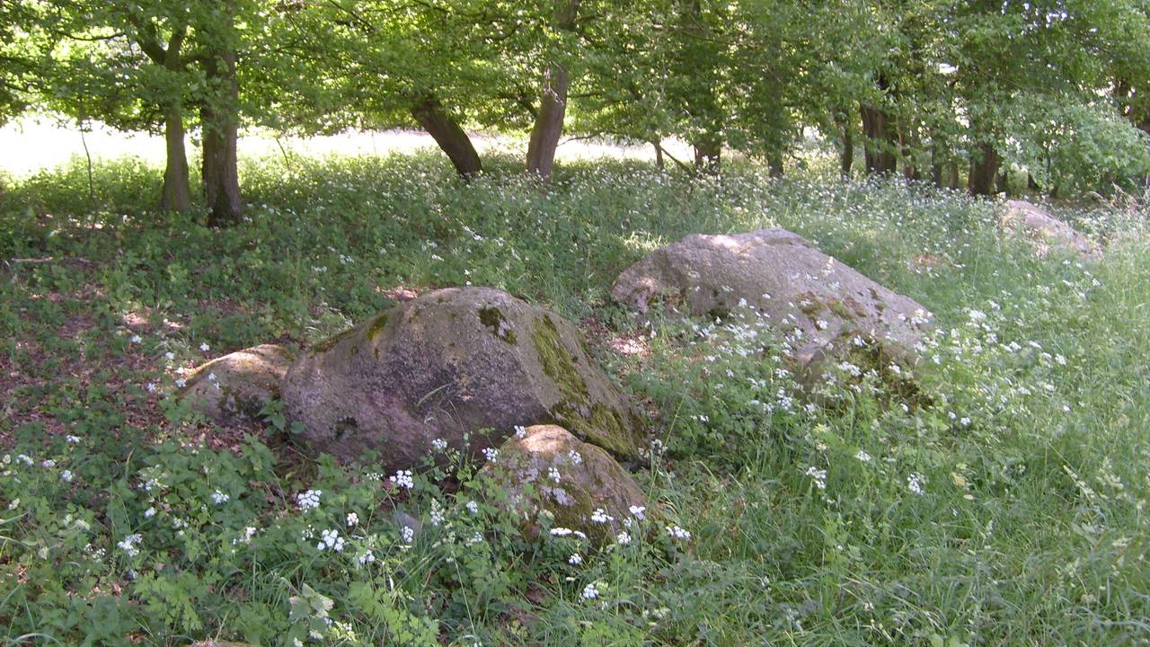 Zur Mittagsrast besuchten wir das steinzeitliche Steinkistengrab im Dalmer <i>- Foto: Thomas</i>