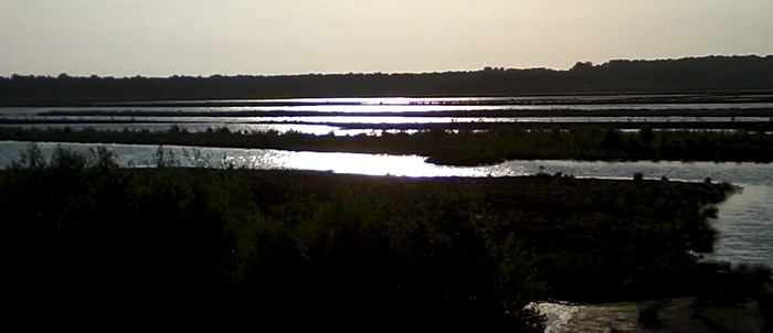 Die flachen Moorwässer glänzen im Abendlicht