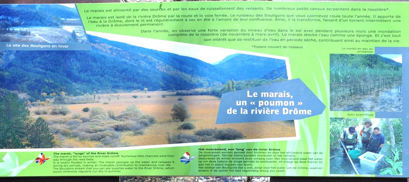 Der Sumpf ist die Lunge des Flusses Drôme, gespeist von Quellen und Rieselwasser
