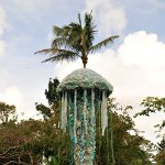 201802 007 west-palm-beach botanical-garden06