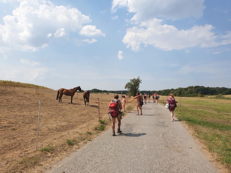 8 Aug: Lean horse pasture | 5