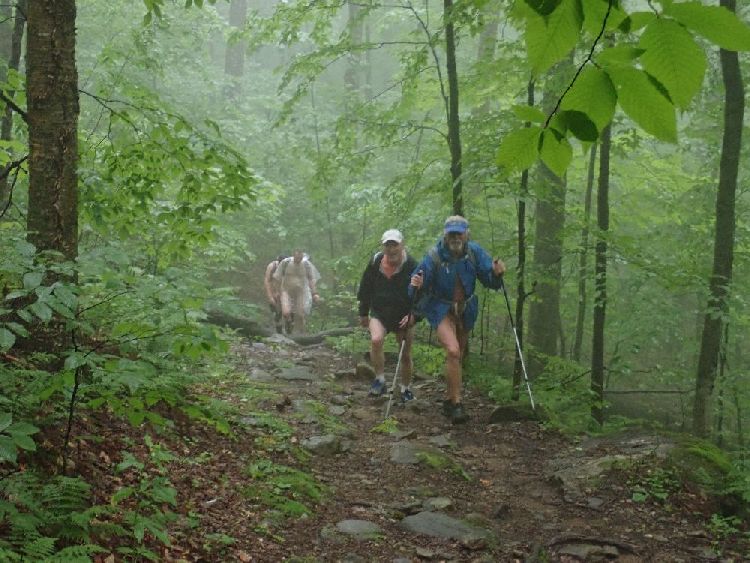 Naked Hiking Day in Vermont: Dann kletterten wir durch einen nebligen Wald auf den Bergrücken.