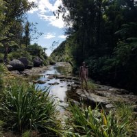 Kaiate Scenic Reserve / Rerekawau Falls