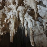 Near Waitomo: Ruakari Cave Tour