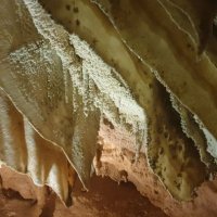 Near Waitomo: Ruakari Cave Tour