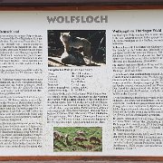 The 'Wolfsloch'[de]Das Wolfsloch[nl]Het Wolfsloch[fr]Le trou du loup