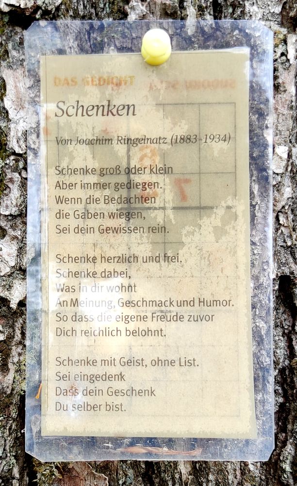 Kunst im Walde - Ein Ringelnatz-Gedicht