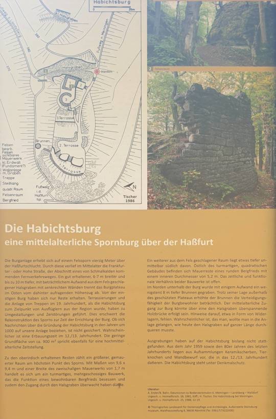 12/31 Ruine Habichtsburg