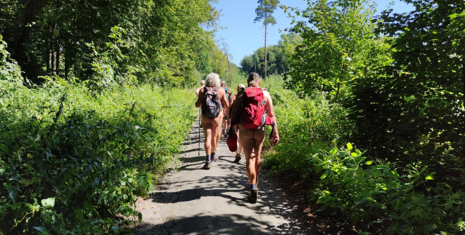 2(2) Der Wanderwald aus Bäumen, Sträuchern, Kräutern und Wanderwegen