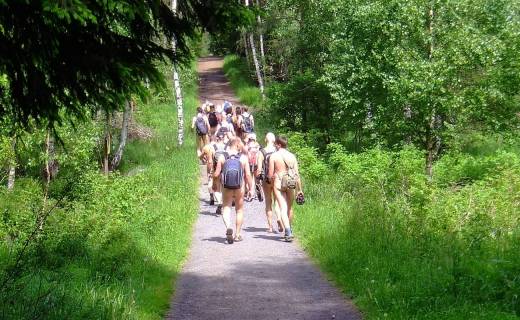 <br />Wandern in lauschiger Wald-Umgebung