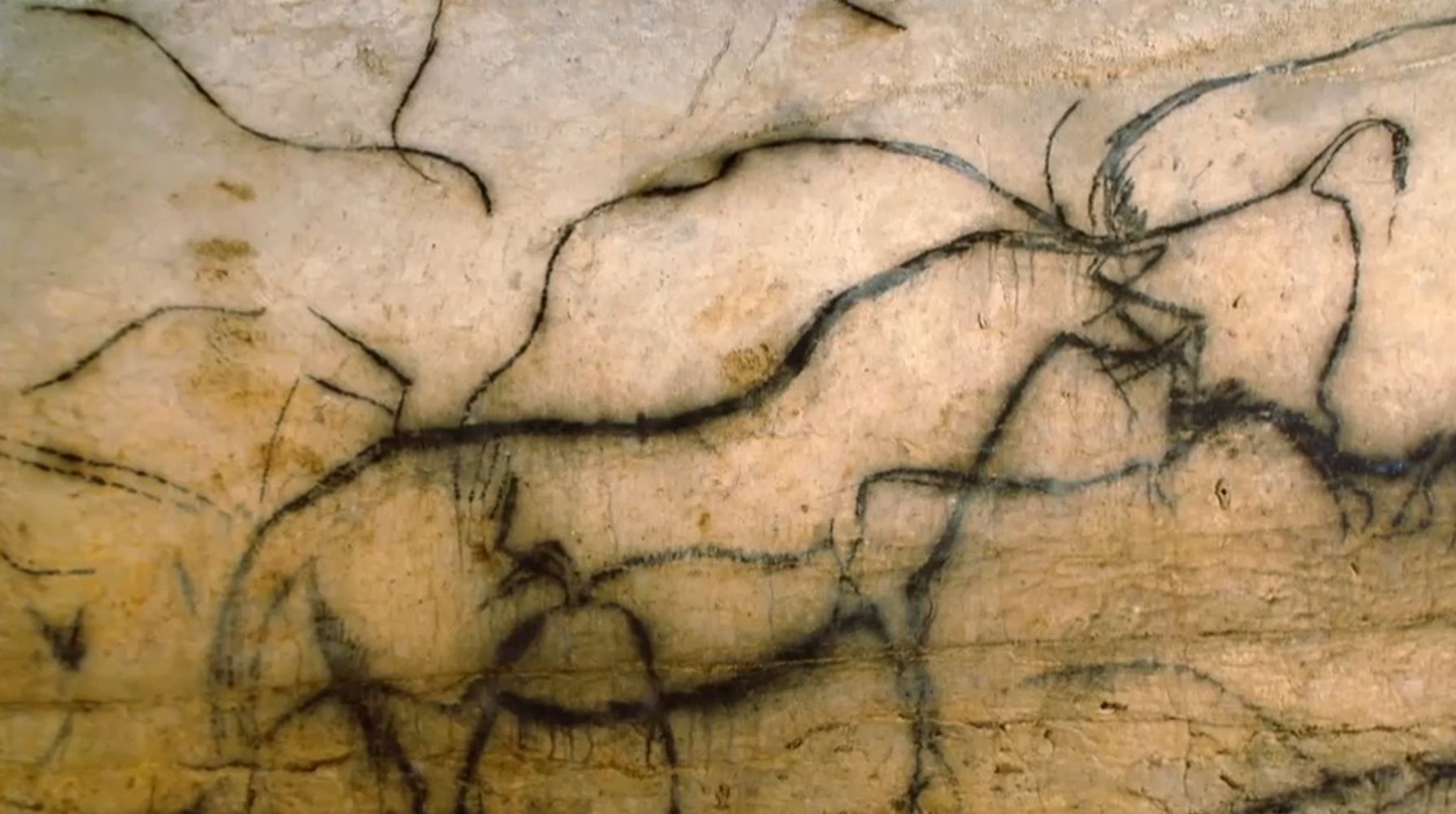 Viele der Zeichnungen der Jagdtiere in der Höhle Pech Merle (Frankreich) sind von ein und demselben Künstler erstellt worden. <!-- START: ConditionalContent -->In den Höhlen des Lot-Tals wurden auch Farbspuren gefunden, die 64.000 Jahre alt sind und daher nur von Neandertalern stammen können. <!-- END: ConditionalContent -->Public Domain.